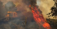 Casi 30 detenidos y 83 investigados por provocar incendios forestales