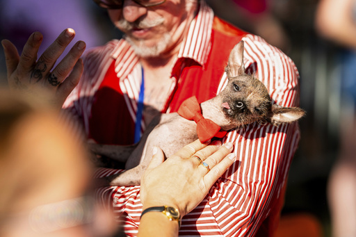 Photos of the World's Ugliest Dog Contest held in California