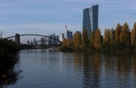 Euro zone current account surplus widened in June