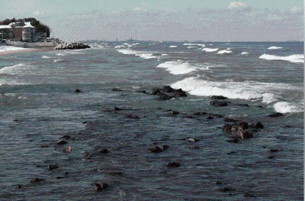 Man Drowns in Lake Michigan at Marquette Park Beach