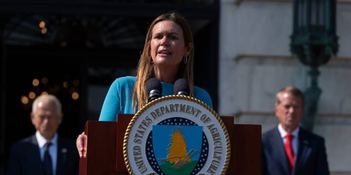 Arkansas Gov. Sanders condemns insurance companies hiking rates