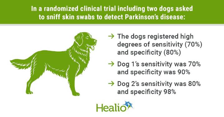 Dogs sniff out Parkinson’s disease from skin swabs