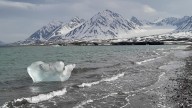 Los microbios aceleran el deshielo de los glaciares de Svalbard