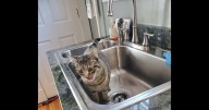 The history of my own kitchen - In and Out of the Kitchen