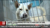 Petflation is forcing pet owners to surrender their animals