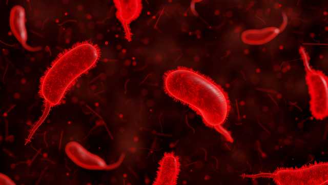 Flesh-eating bacteria cases rise in Florida waters, CDC says