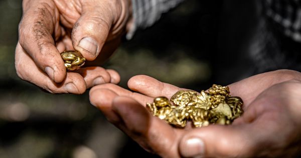 Una fortuna: el electrodoméstico que está en tu casa y contiene oro de 22 quilates