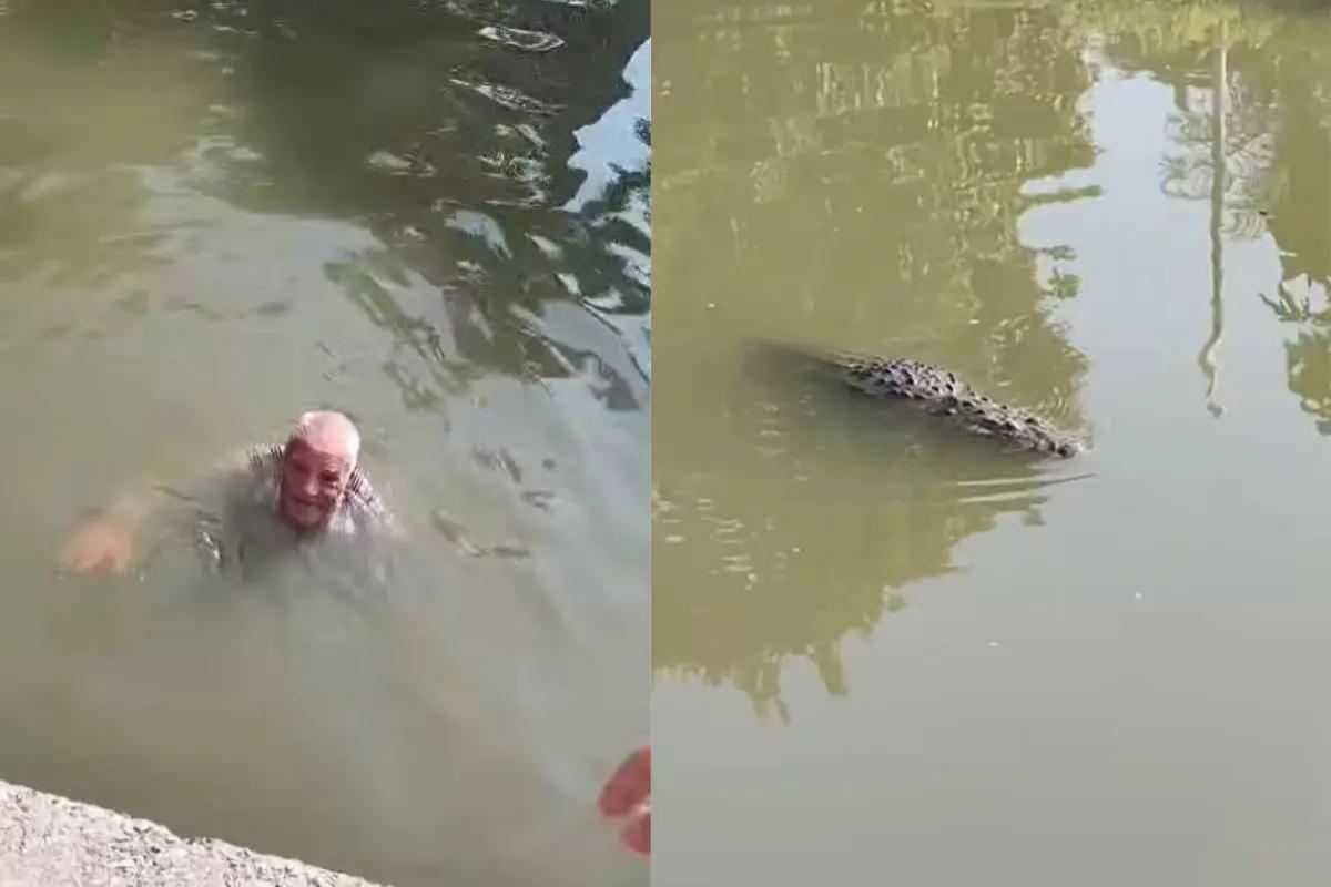 Octogenario desaparecido es localizado en Tampico realizando nado con cocodrilos (Video)