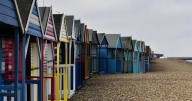 'Warzone' UK seaside town where feral kids kill ducks and Nazi salute at tourists