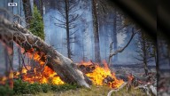 Monsoon storms could help slow wildfire growth