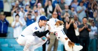 Shohei Ohtani becomes an author with a book starring his dog Decoy out next year