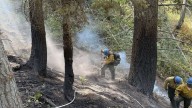 New fire restrictions ordered for Uinta-Wasatch-Cache, Ashley national forests