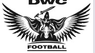Dansville/WayCo now a seasoned group: Top players, schedule, what to know