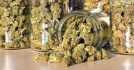 Alabama ABC Board unveils rules for new hemp law