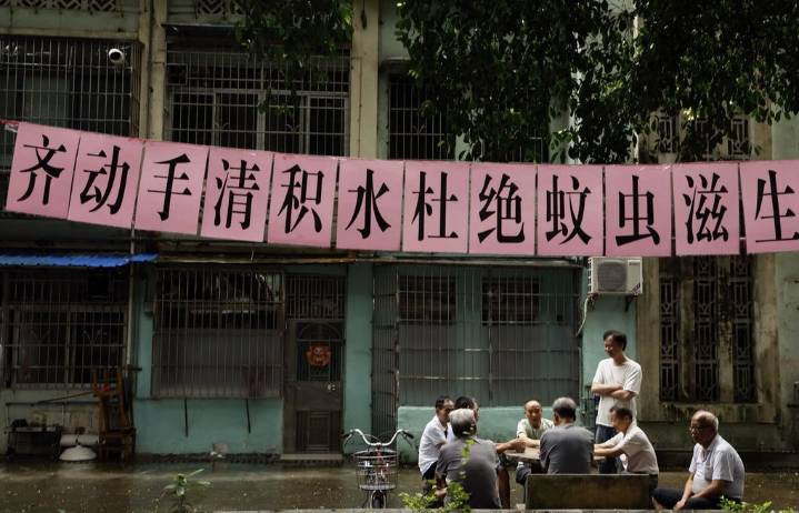 What is chikungunya, the virus now spreading in southern China?