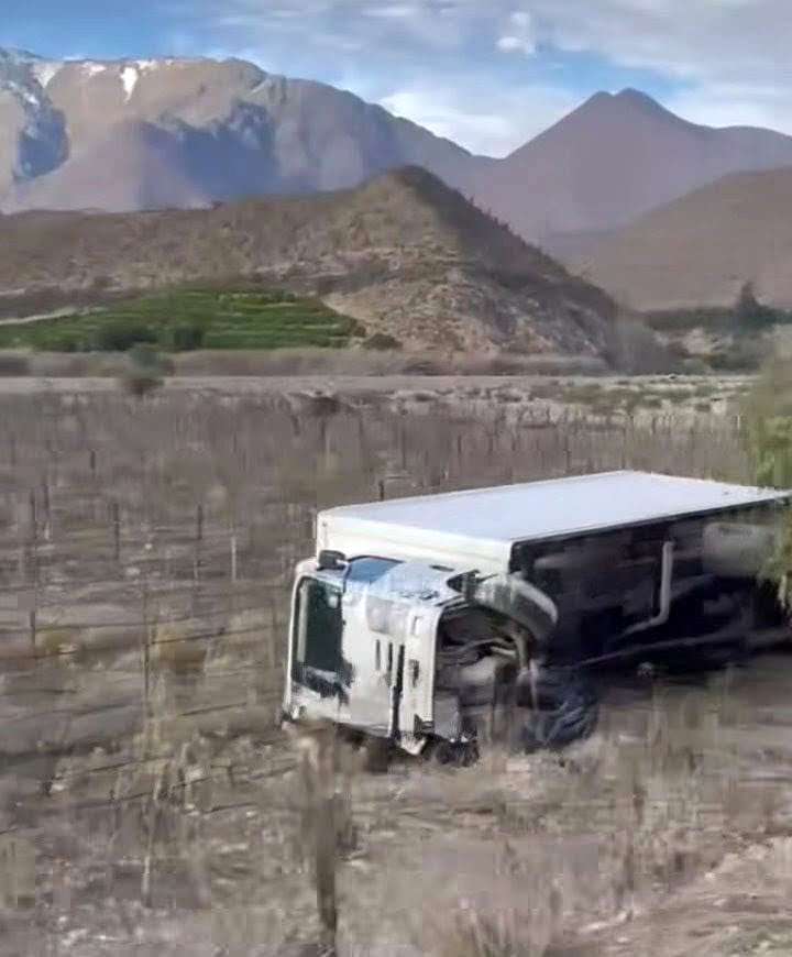 El Tambo: camión quedó volcado entre medio de las parras
