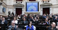Cómo votaron los diputados de Neuquén, Río Negro y la Patagonia el veto a la Emergencia en Discapacidad