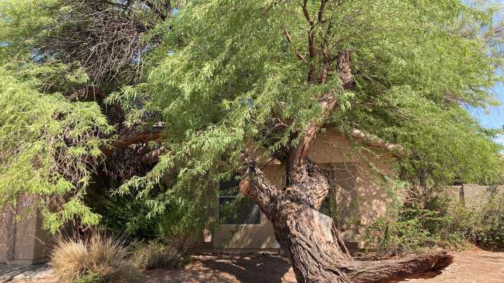 Storm, dust put metro Phoenix in spotlight, creating national and local buzz