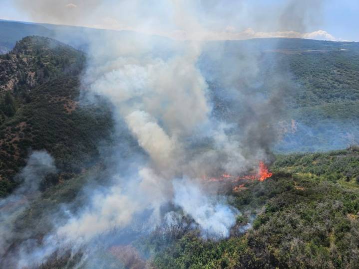 Colorado wildfires: 2,000-acre Elk fire destroys 3 buildings
