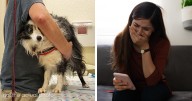 “Special Place In Hell For That One”: BF Dragged Online For Trying To Stealthily Euthanize GF’s Dog