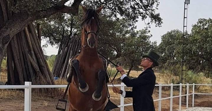 La doma: el arte de adiestrar en Pedroche caballos para paseo, competición o para manejar el ganado