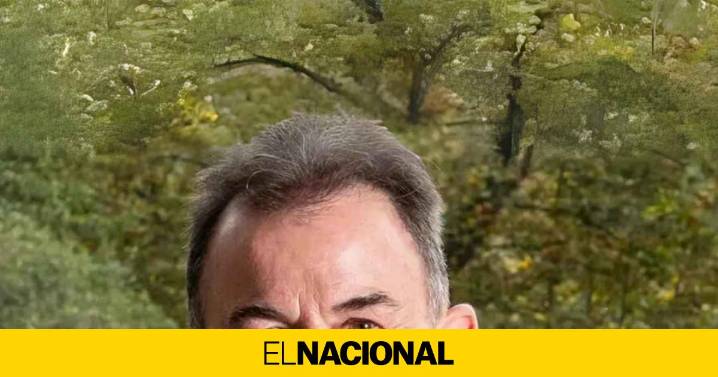 Cocinar como Martín Berasategui nunca había sido tan barato: 3 sartenes Monix a precio de chollo