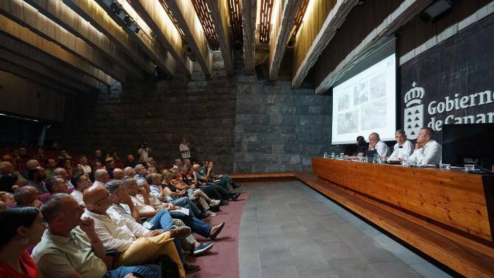Canarias prohíbe el traslado de materias vegetales entre islas para frenar la expansión de la filoxera