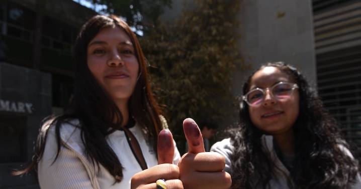 Hacia la reforma electoral. ¿Reducir la edad para votar?
