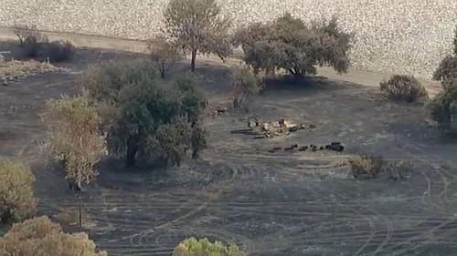 Encino leaders say Sepulveda Basin fires are 'getting out of control'