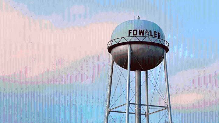 Rattlesnake bite kills dog in Fowler backyard
