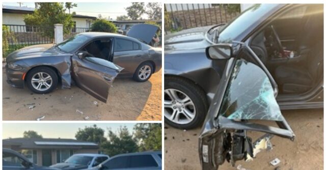 2X Deported COVID-Era Illegal Alien Crashes into, Injures ICE Agent