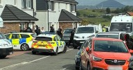 Woman 'mauled by two XL Bully-type dogs' as armed cops seen on Scots street