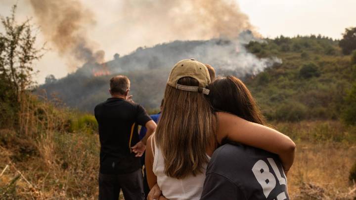 Los Reyes visitarán esta semana las zonas más castigadas por los incendios