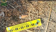 Una colilla provocó el incendio de Mijas, que ya ha sido extinguido