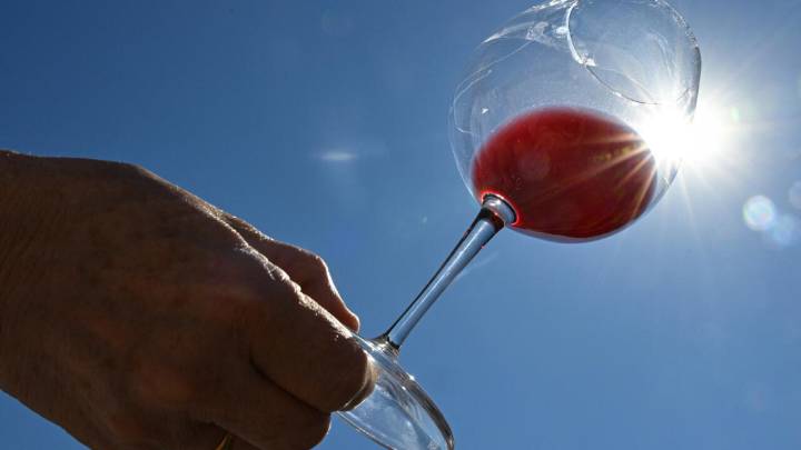 A qué responde el elevado prestigio de los vinos europeos
