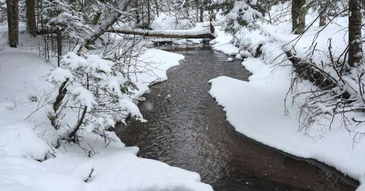 Farmer’s Almanac releases winter outlook: ‘Chill, snow, repeat’