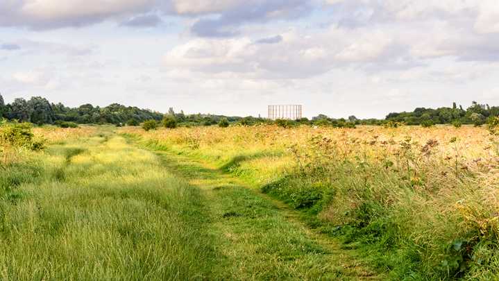 Wormwood Scrubs, my deserted little bit of paradise 