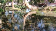 11 ejidatarios repartirán agua del manantial de El Almeal