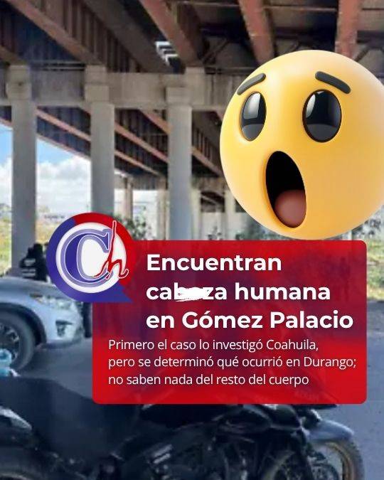 Encuentran cabeza humana bajo el Puente Solidaridad