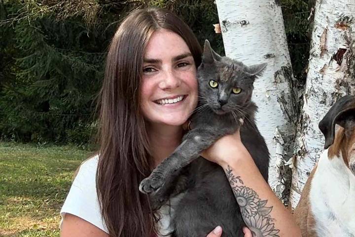 Woman Rushes Stray Cat to Vet After Watching It Get Hit by a Truck (Exclusive)
