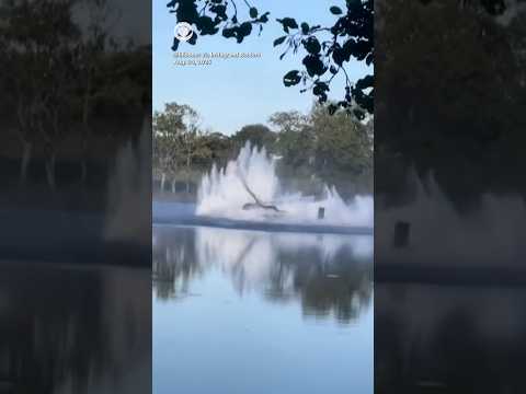 No injuries after firefighting helicopter in France crashes into pond #shorts