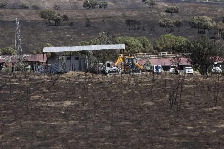 Los animales, las otras víctimas de la ola de incendios que asola España