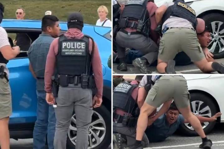 DC migrant David Perez-Teofani who tried to run from federal officers in viral video was previously arrested for child sex crimes and entered US illegally 3 times