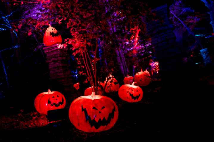 ‘The Nightmare Before Christmas’ light exhibit returns to New York Botanical Garden