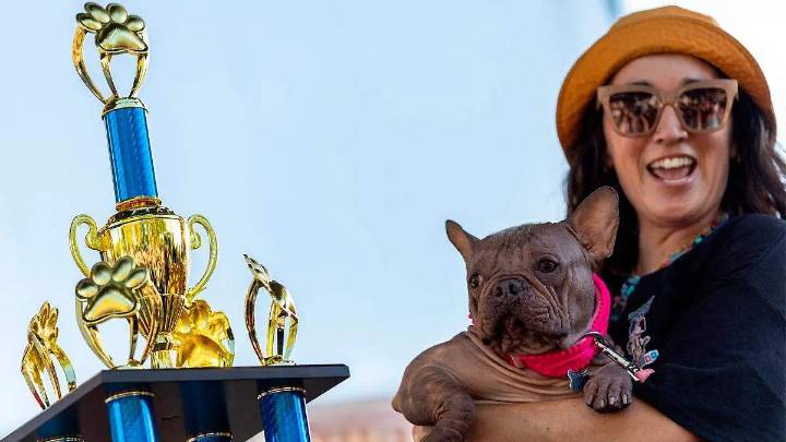 Así es Petunia, la bulldog coronada como el ‘Perro más feo del mundo 2025’