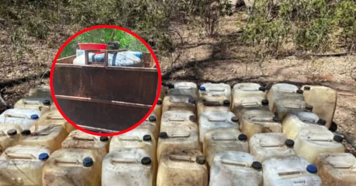Hallazgo tóxico en Sinaloa: aseguran más de 4,000 litros de químicos para drogas sintéticas en zonas rurales
