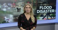 Ask Andrea: Do you have a question about flood cleanup or recovery?