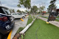 Sin lesionados, pero con múltiples daños: así dejó la tormenta del sábado a la región Sureste de Coahuila