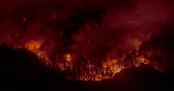 Climate-driven wildfires are reversing clean air progress, new report says