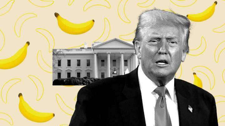 Firing BLS Director Over Weak Jobs Report Is 'Banana Republic' Behavior